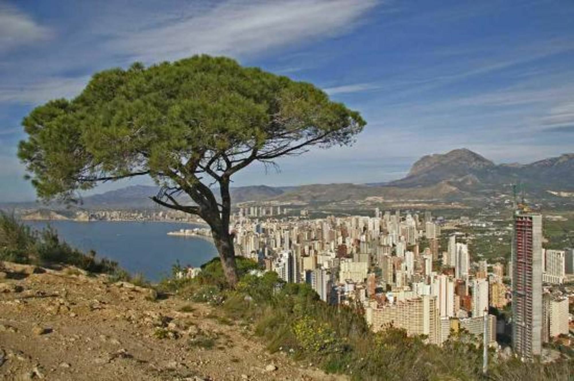 Apartment In Benidorm, Alicante 103115 By Mo